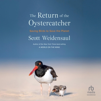 The Return of the Oystercatcher: Saving Birds to Save the Planet