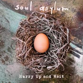 Vinyl Hurry Up And Wait Book