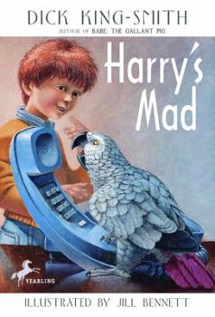 School & Library Binding Harry's Mad Book
