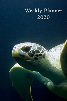 Weekly Planner 2020: Sea Turtle | 6x9 | Calendar | Organizer | calendar | weekly Calendar | Diary | Journal |