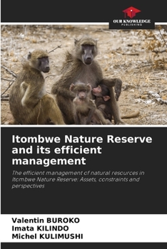 Paperback Itombwe Nature Reserve and its efficient management Book