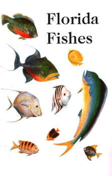 Paperback Saltwater Florida Fishes Book
