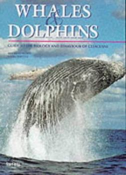 Paperback Whales and Dolphins : A Biological Guide to the Life of the Cetaceans Book