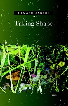 Paperback Taking Shape Book