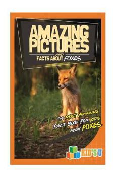 Paperback Amazing Pictures and Facts about Foxes: The Most Amazing Fact Book for Kids about Foxes Book