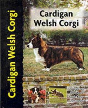 Cardigan Welsh Corgi (Comprehensive Owners Guide)