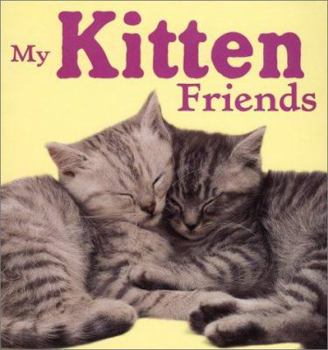 Board book My Kitten Friends Book