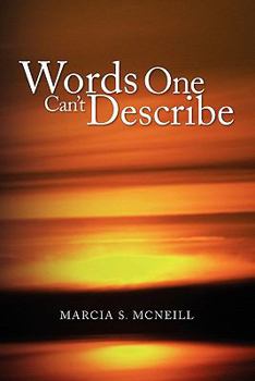 Paperback Words One Can't Describe Book