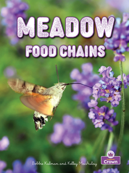 Paperback Meadow Food Chains Book