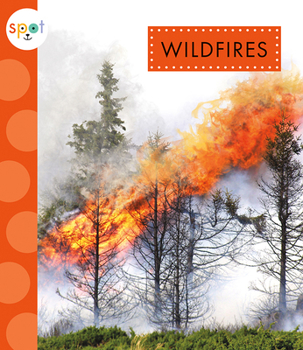 Paperback Wildfires Book