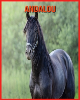 Paperback Andalou: Informations Tr?s Amusantes et Photos Etonnantes [French] Book