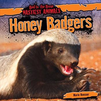 Library Binding Honey Badgers Book