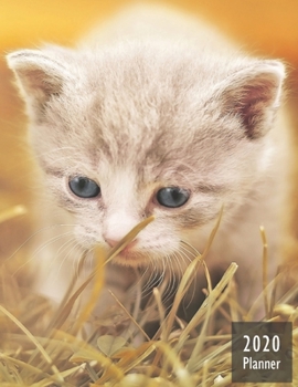 2020 PLANNER Kitten: Gifts For Cat Lovers Monthly Weekly Daily and Hourly Planners 2020 Calendar from Jan 1 2020 to Dec 2020  Note Pages To-Do List ... Themed Gifts Cover for Cat Lovers Version 2