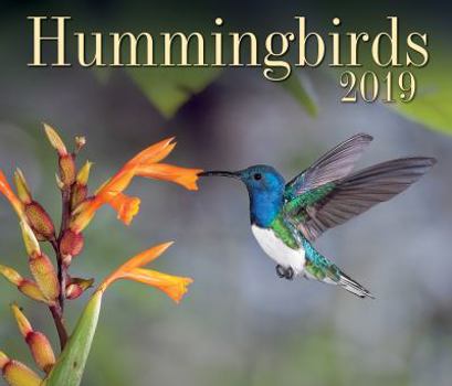 Calendar Hummingbirds 2019 Book
