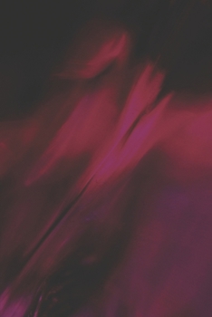 Paperback At Home in the Void and Otherworldly Stories Book