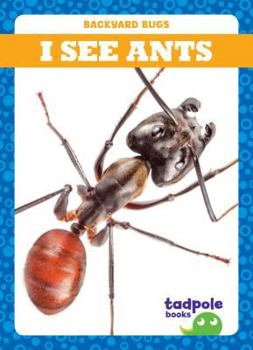 Veo Hormigas / I See Ants - Book  of the Backyard Bugs