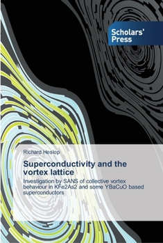 Paperback Superconductivity and the vortex lattice Book