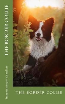 the border collie: the border collie