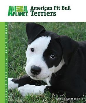 Hardcover American Pit Bull Terriers Book