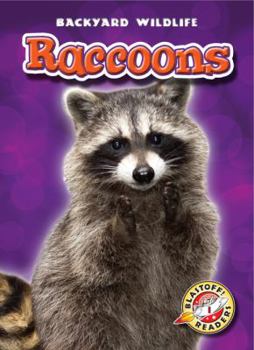Raccoons - Book  of the Backyard Wildlife