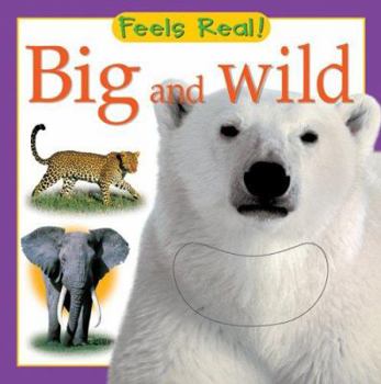 Board book Big and Wild Book
