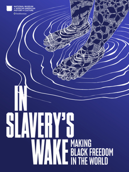 Hardcover In Slavery's Wake: Making Black Freedom in the World Book