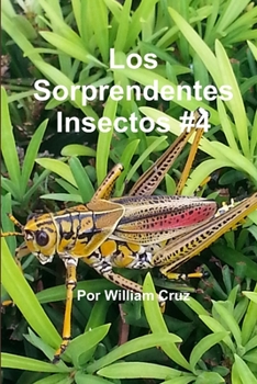 Paperback Los Sorprendentes Insectos #4 [Spanish] Book