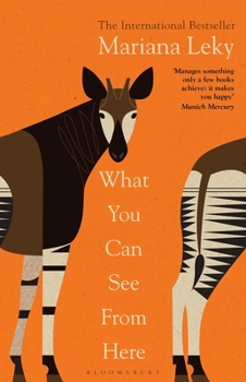Paperback What You Can See From Here: 'A clear-eyed tonic in troubled times' (Guardian) Book