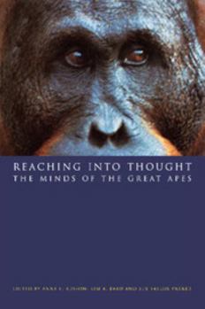 Paperback Reaching into Thought Book