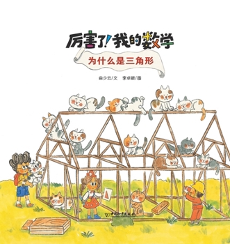 Paperback 为什么是三角形 [Chinese] Book