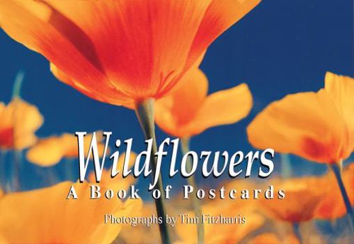 Paperback Wildflowers: A Book of Postcards Book