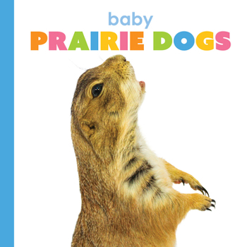 Baby Prairie Dogs (Starting Out)