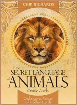 Cards The Secret Language of Animals Book