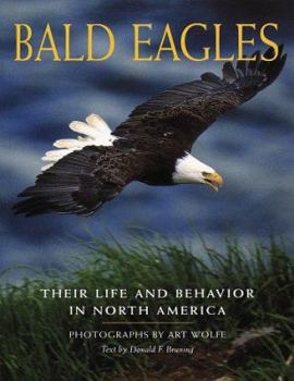 Paperback Bald Eagles: Their Life and Behavior in North America Book