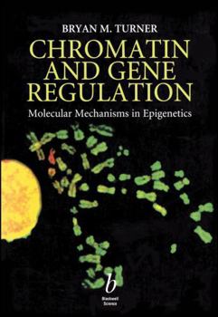 Paperback Chromatin and Gene Regulation: Molecular Mechanisms in Epigenetics Book