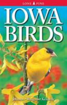 Paperback Iowa Birds Book