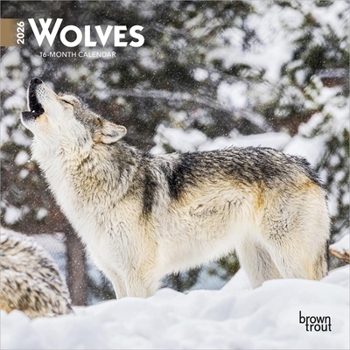 Calendar Wolves | 2026 7 x 14 Inch (Hanging) Monthly Mini Wall Calendar | BrownTrout | Wildlife Animals Book