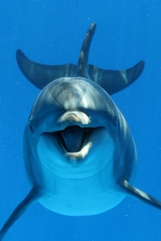 Paperback Save The Dolphin 2020 Weekly Monthly Planner: Diary with Agenda & Calendar Schedule, To Do List, Notes, Water Intake Log & Expense Tracker - Dolphin G Book