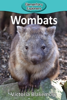 Paperback Wombats Book