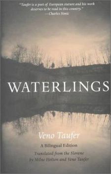Hardcover Waterlings Book