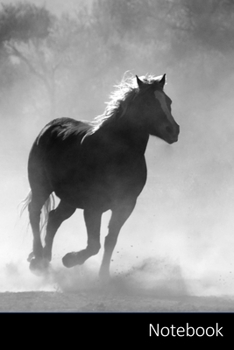 Notebook: Cheval, Champ, Colza, Blooming Carnet / Journal / Livre d'écriture / Calepin / Agenda / Notes - 6 x 9 pouces (15,24 x 22,86 cm), 110 pages, surface brillante.