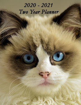 Paperback 2020 - 2021 Two Year Planner: Pretty Cat with Blue Eyes Cover - Includes Major U.S. Holidays and Sporting Events Book