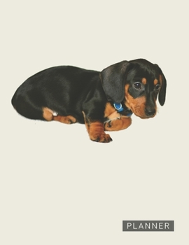 Planner: Dachshund Puppy 2 Year Weekly Planning Organizer | 2020 - 2021 | January 20 - December 21 | Writing Notebook | Productive Datebook Calendar Schedule | Plan Days, Set Goals & Get Stuff Done