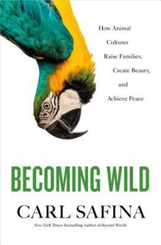 Hardcover Becoming Wild: How Animal Cultures Raise Families, Create Beauty, and Achieve Peace Book