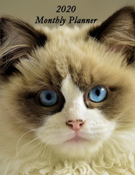 Paperback 2020 Monthly Planner: Pretty Cat with Blue Eyes Cover - Includes Major U.S. Holidays and Sporting Events Book