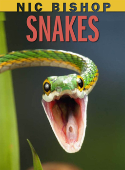 Hardcover Nic Bishop: Snakes Book