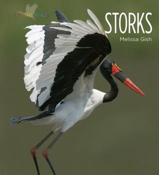Storks - Book  of the Living Wild