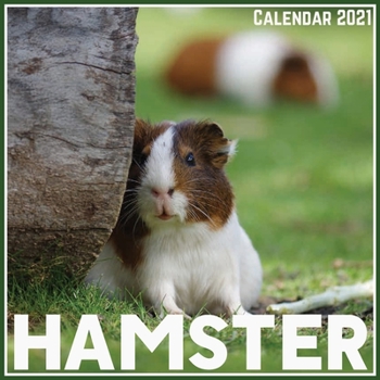 Paperback Hamster Calendar 2021: Official Hamster Calendar 2021, 12 Months Book