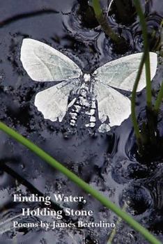 Paperback Finding Water, Holding Stone Book