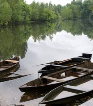 Paperback Polyglot: Stories of the West's Wet Edge Book